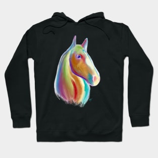 Horse of Many Colors Hoodie